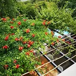 La Maison D'ayona 3*