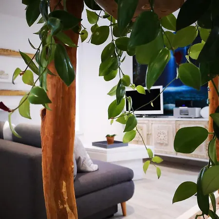 La Maison D'ayona 3* Herrlisheim-près-Colmar