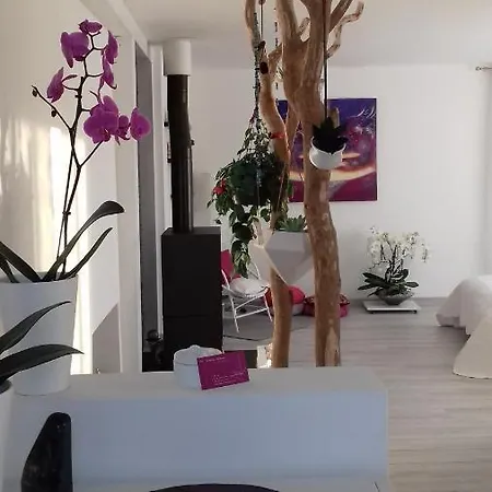 Bed & Breakfast La Maison D'ayona