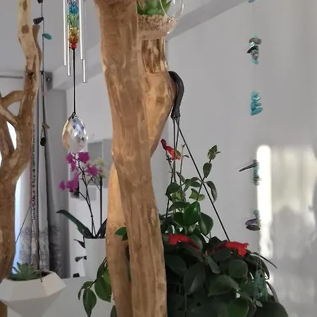 La Maison D'ayona Oda ve Kahvaltı 3*