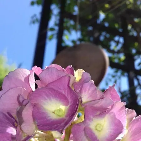 La Maison D'ayona Oda ve Kahvaltı 3*