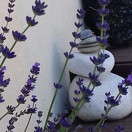 Oda ve Kahvaltı La Maison D'ayona Herrlisheim-près-Colmar