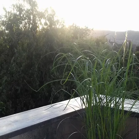 La Maison D'ayona 3*