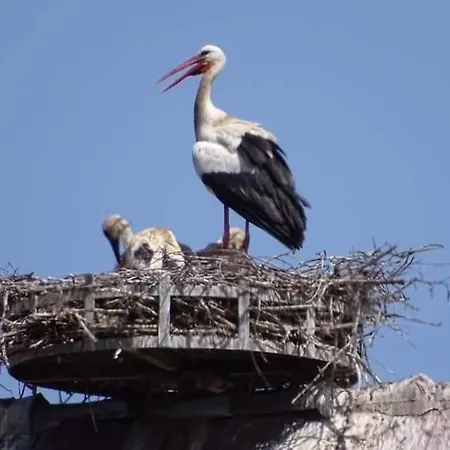 Oda ve Kahvaltı La Maison D'ayona