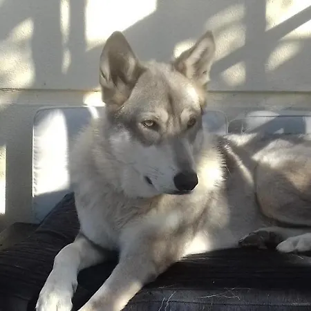 La Maison D'ayona Oda ve Kahvaltı