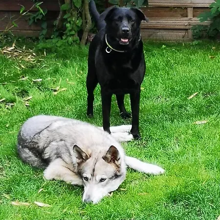 La Maison D'ayona Oda ve Kahvaltı 3*