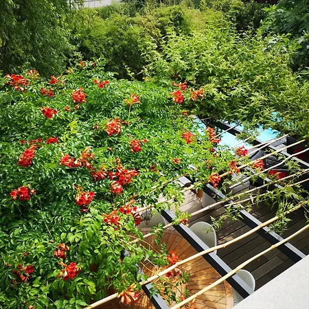 La Maison D'ayona 3*