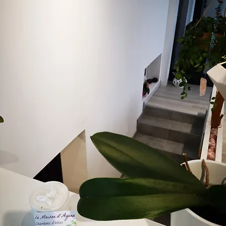La Maison D'ayona Couette-café 3*