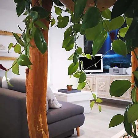 La Maison D'ayona Oda ve Kahvaltı