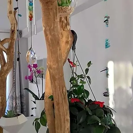 La Maison D'ayona Oda ve Kahvaltı